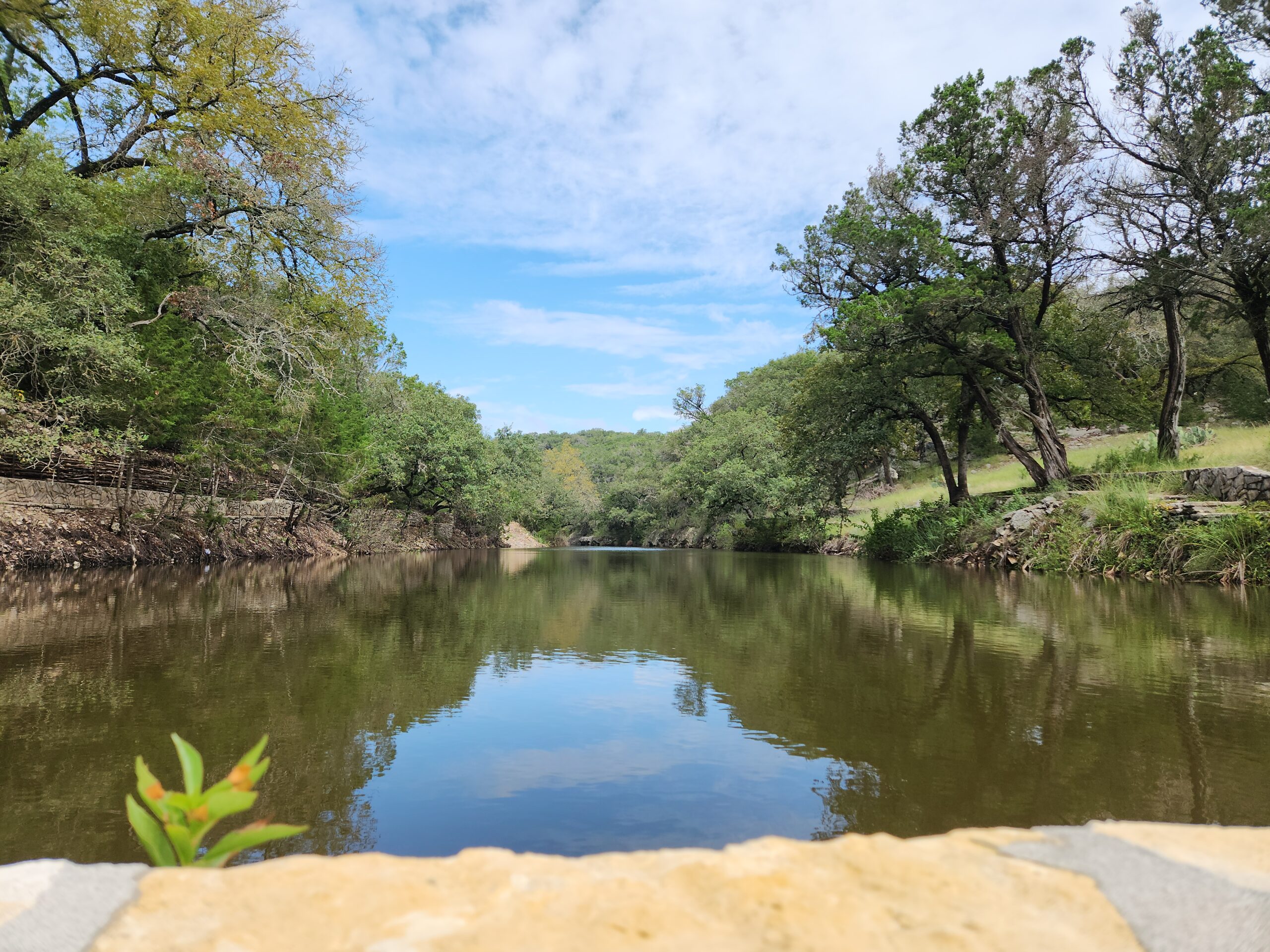 Finished Texas Pond land clearing services