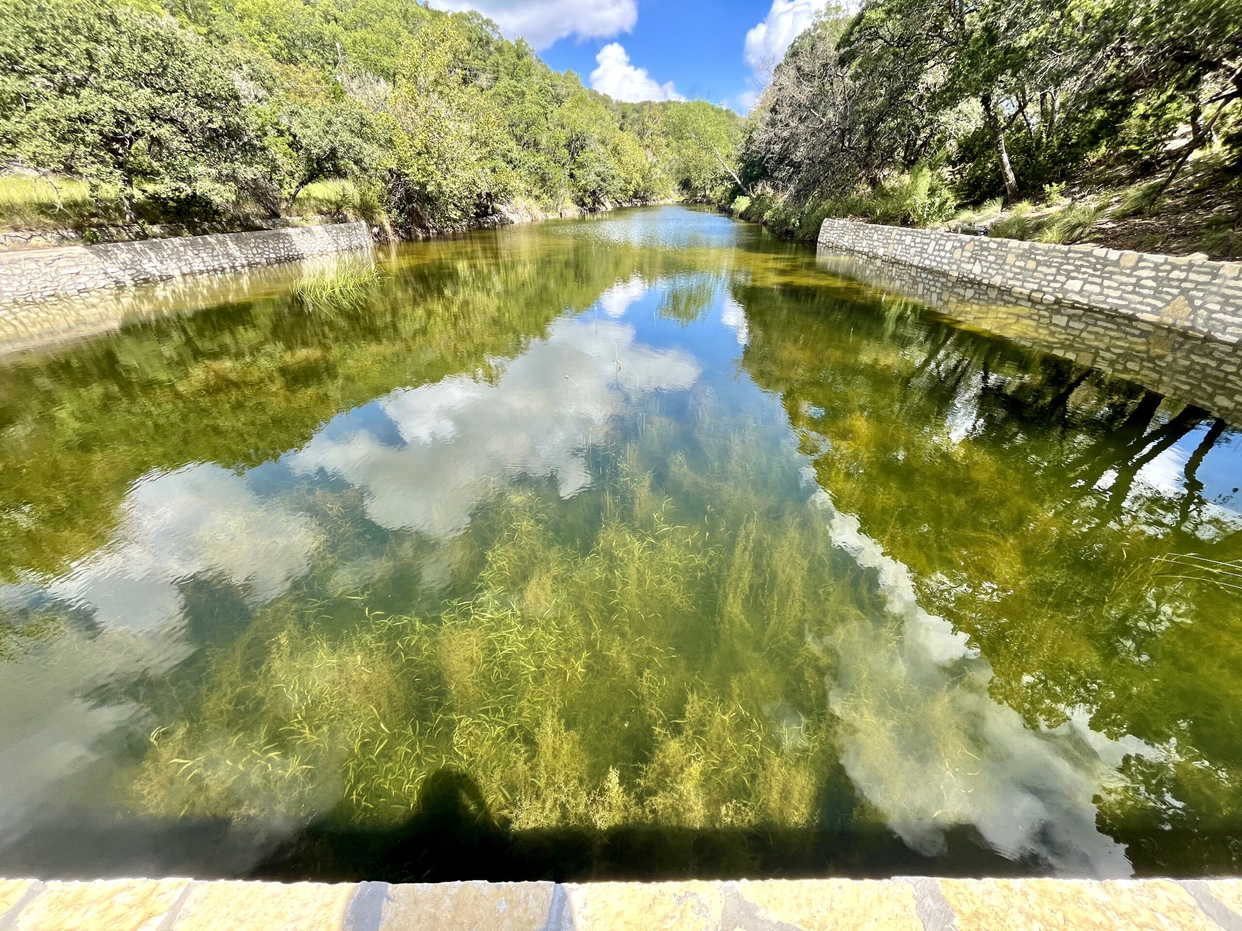 Another finished Texas Pond
