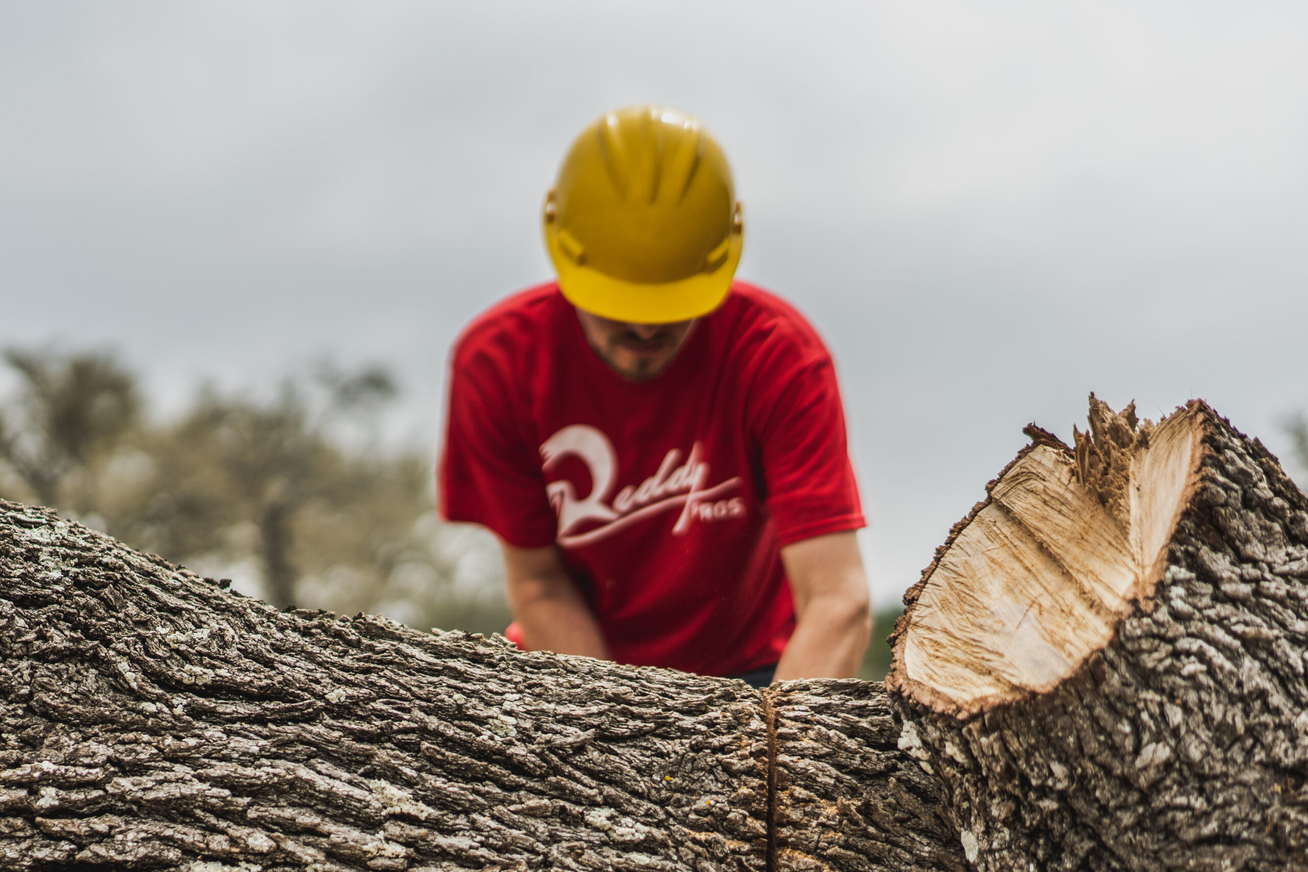 land clearing services